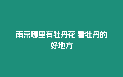 南京哪里有牡丹花 看牡丹的好地方