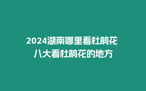 2024湖南哪里看杜鵑花 八大看杜鵑花的地方