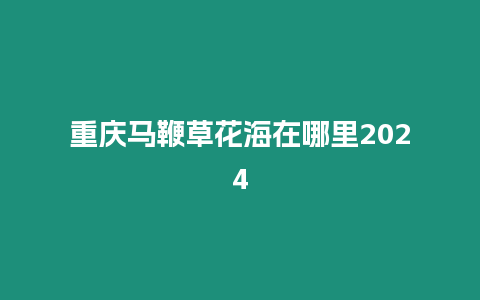 重慶馬鞭草花海在哪里2024