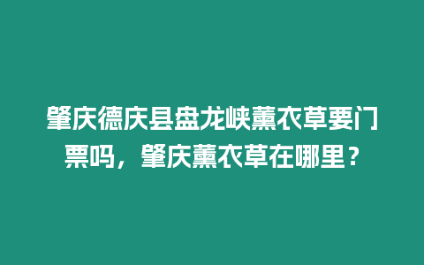 肇慶德慶縣盤龍峽薰衣草要門票嗎，肇慶薰衣草在哪里？