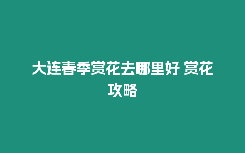 大連春季賞花去哪里好 賞花攻略