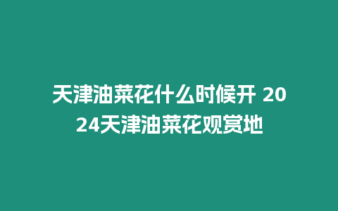 天津油菜花什么時候開 2024天津油菜花觀賞地