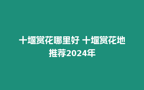 十堰賞花哪里好 十堰賞花地推薦2024年