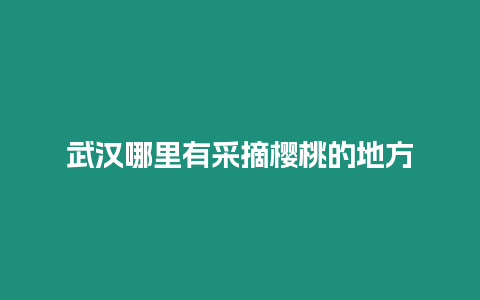 武漢哪里有采摘櫻桃的地方