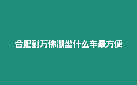 合肥到萬佛湖坐什么車最方便