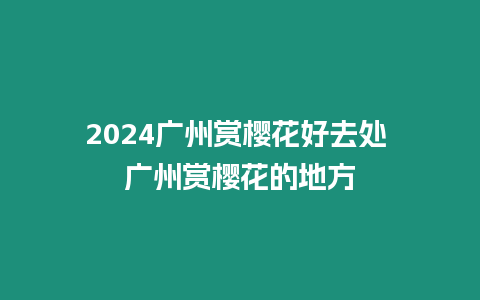 2024廣州賞櫻花好去處 廣州賞櫻花的地方