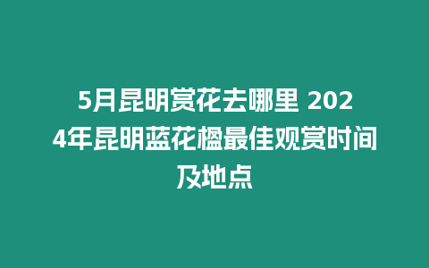 5月昆明賞花去哪里 2024年昆明藍花楹最佳觀賞時間及地點