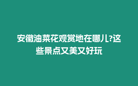 安徽油菜花觀賞地在哪兒?這些景點又美又好玩