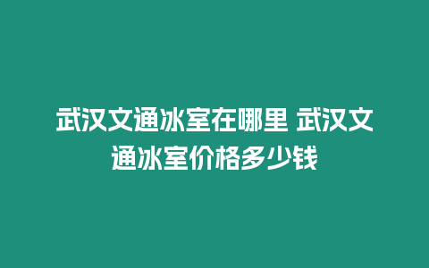 武漢文通冰室在哪里 武漢文通冰室價(jià)格多少錢