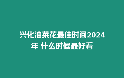 興化油菜花最佳時間2024年 什么時候最好看