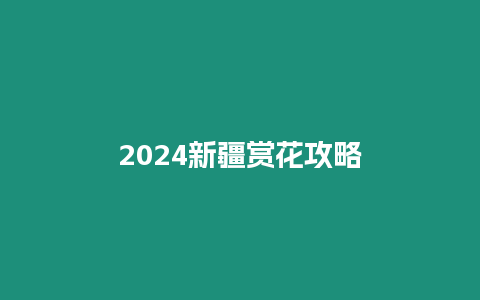 2024新疆賞花攻略