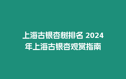 上海古銀杏樹排名 2024年上海古銀杏觀賞指南