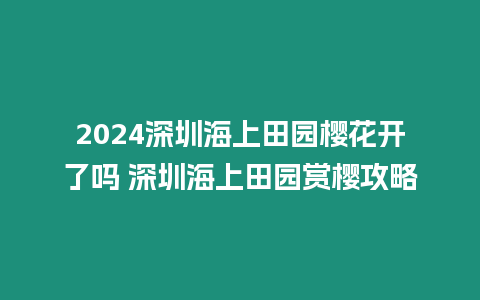 2024深圳海上田園櫻花開了嗎 深圳海上田園賞櫻攻略