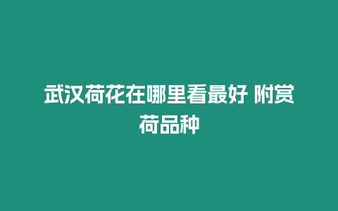 武漢荷花在哪里看最好 附賞荷品種