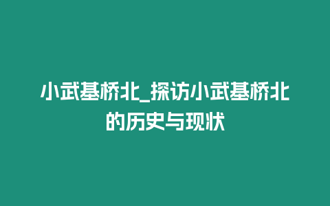 小武基橋北_探訪小武基橋北的歷史與現狀