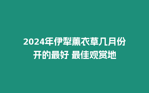 2024年伊犁薰衣草幾月份開的最好 最佳觀賞地