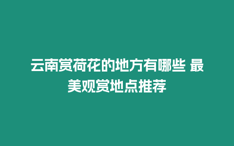 云南賞荷花的地方有哪些 最美觀賞地點推薦