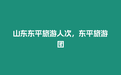 山東東平旅游人次，東平旅游團