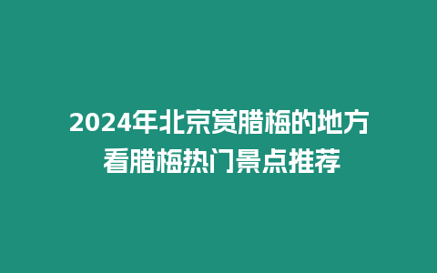 2024年北京賞臘梅的地方 看臘梅熱門景點推薦