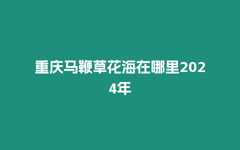 重慶馬鞭草花海在哪里2024年