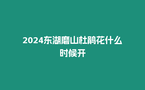 2024東湖磨山杜鵑花什么時(shí)候開