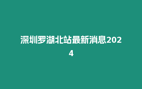 深圳羅湖北站最新消息2024