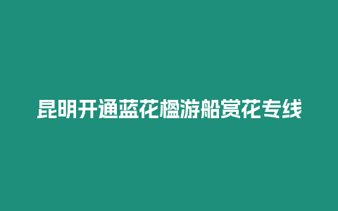 昆明開通藍花楹游船賞花專線