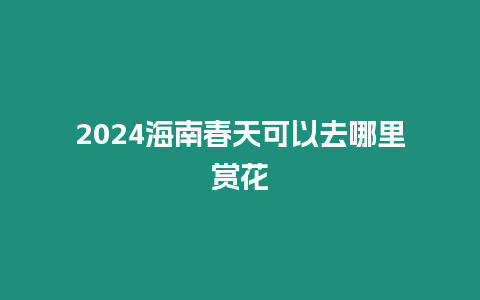 2024海南春天可以去哪里賞花