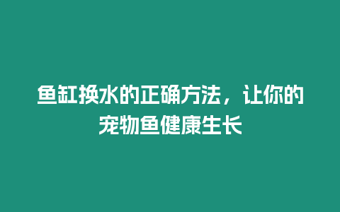 魚缸換水的正確方法，讓你的寵物魚健康生長