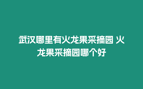 武漢哪里有火龍果采摘園 火龍果采摘園哪個好