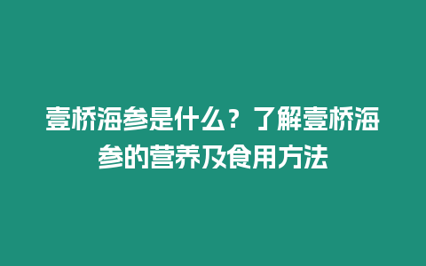 壹橋海參是什么？了解壹橋海參的營養及食用方法