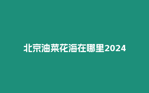 北京油菜花海在哪里2024