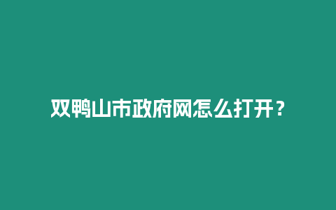 雙鴨山市政府網怎么打開？