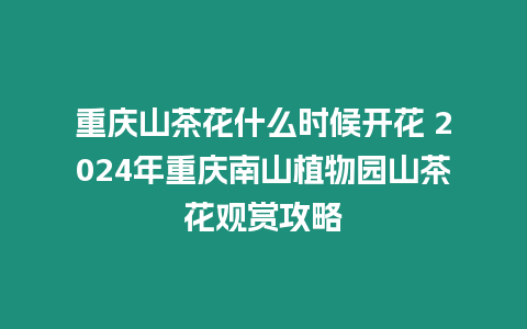 重慶山茶花什么時(shí)候開花 2024年重慶南山植物園山茶花觀賞攻略