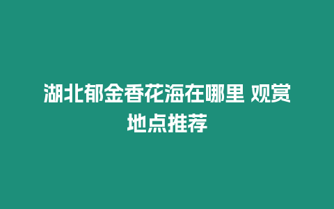 湖北郁金香花海在哪里 觀賞地點推薦