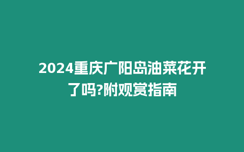 2024重慶廣陽島油菜花開了嗎?附觀賞指南