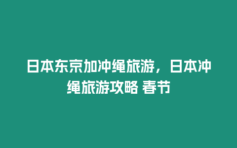 日本東京加沖繩旅游，日本沖繩旅游攻略 春節