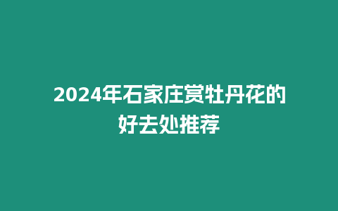 2024年石家莊賞牡丹花的好去處推薦