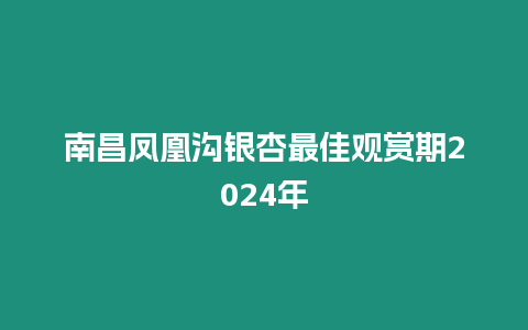 南昌鳳凰溝銀杏最佳觀賞期2024年