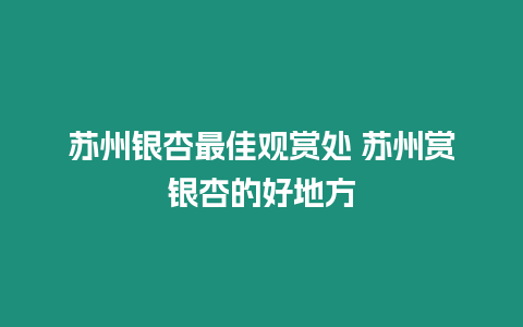 蘇州銀杏最佳觀賞處 蘇州賞銀杏的好地方