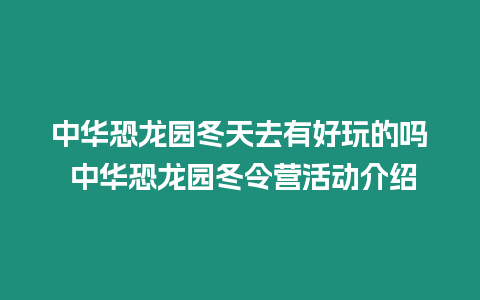 中華恐龍園冬天去有好玩的嗎 中華恐龍園冬令營活動介紹