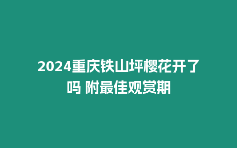 2024重慶鐵山坪櫻花開了嗎 附最佳觀賞期