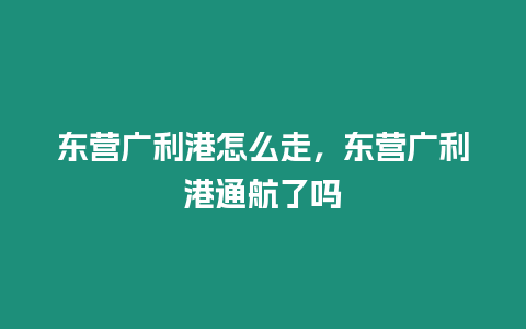 東營廣利港怎么走，東營廣利港通航了嗎