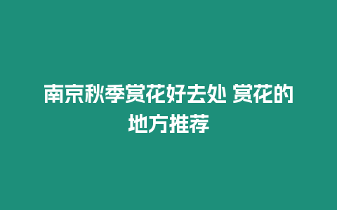 南京秋季賞花好去處 賞花的地方推薦