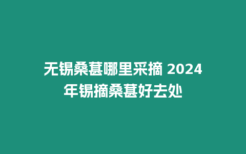 無錫桑葚哪里采摘 2024年錫摘桑葚好去處