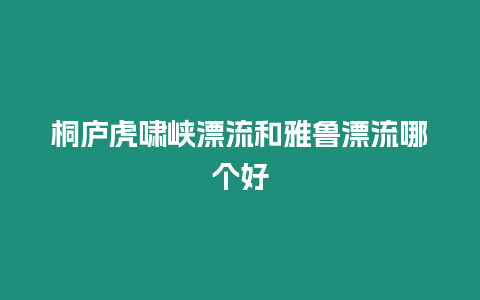 桐廬虎嘯峽漂流和雅魯漂流哪個(gè)好