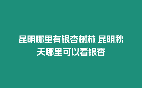 昆明哪里有銀杏樹林 昆明秋天哪里可以看銀杏