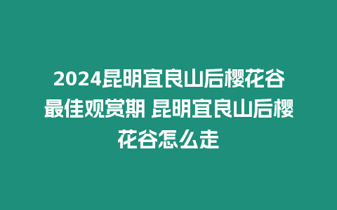 2024昆明宜良山后櫻花谷最佳觀賞期 昆明宜良山后櫻花谷怎么走