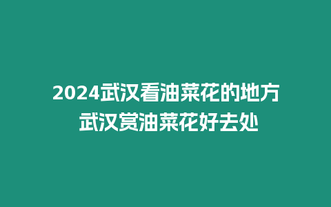 2024武漢看油菜花的地方 武漢賞油菜花好去處