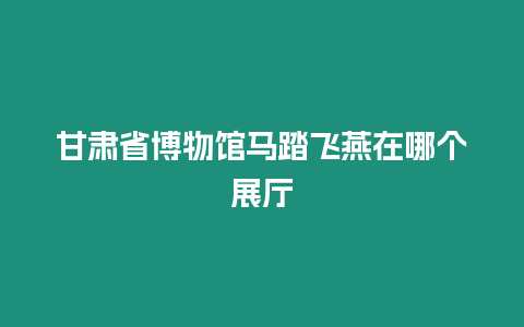 甘肅省博物館馬踏飛燕在哪個(gè)展廳